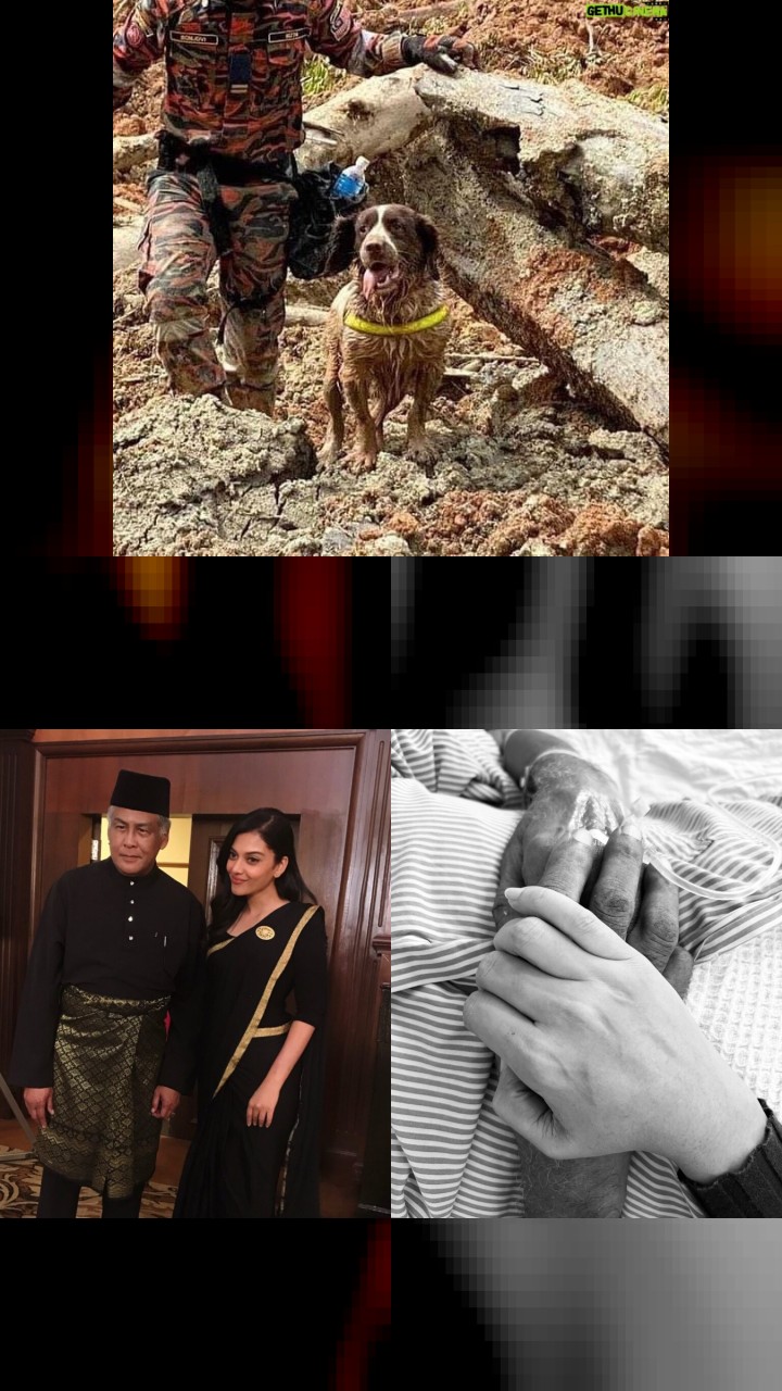 Sangeeta Krishnasamy's Most Liked Instagram Photos of All Time