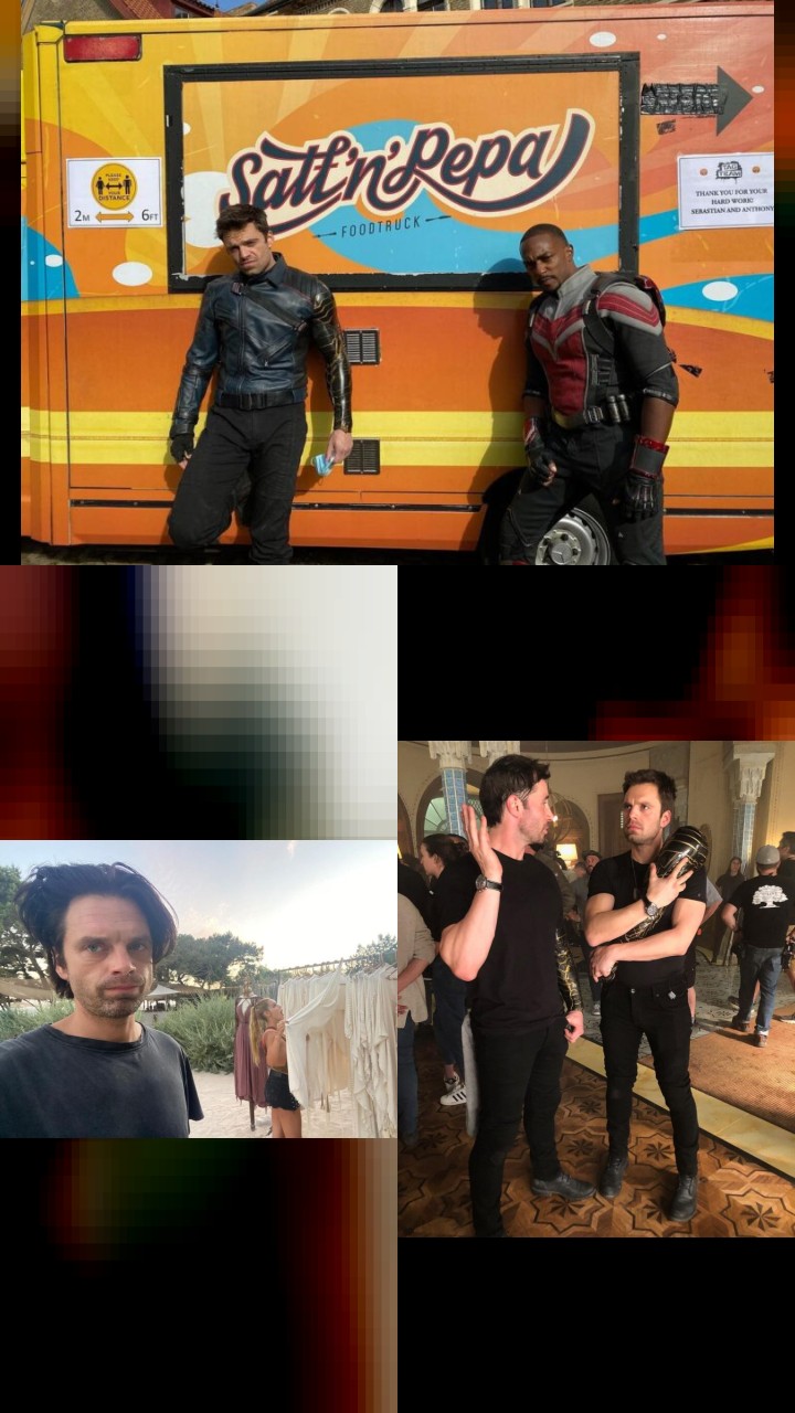 Sebastian Stan’s 10 Most Adored Instagram Photos