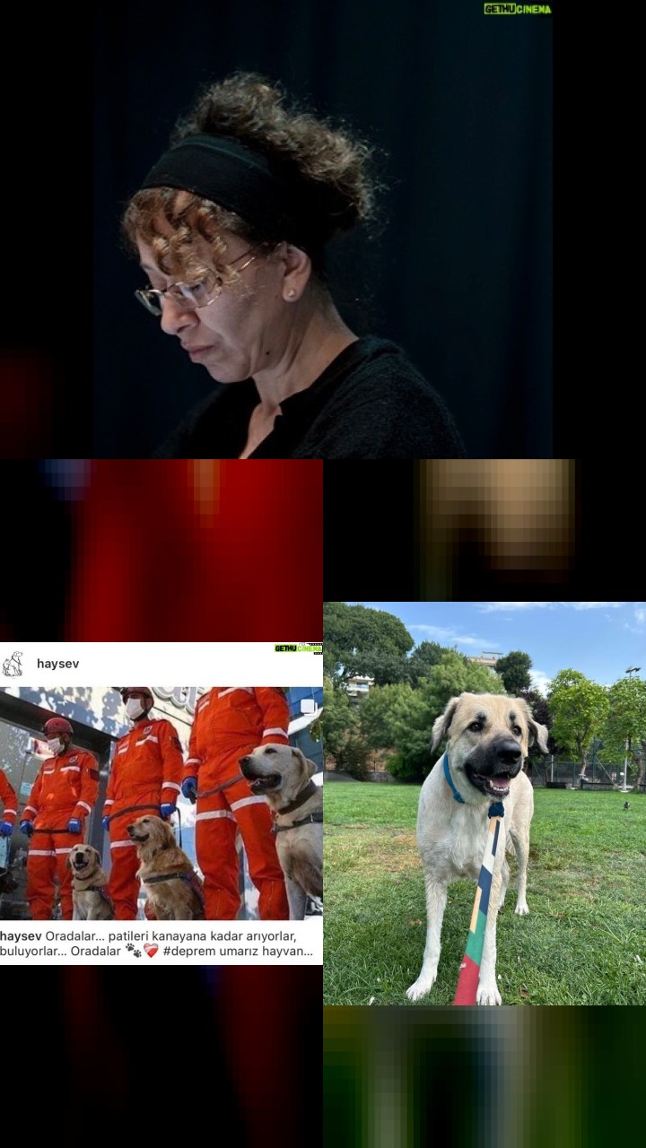 Top 10 Most Engaging Instagram Posts by Şebnem Sönmez