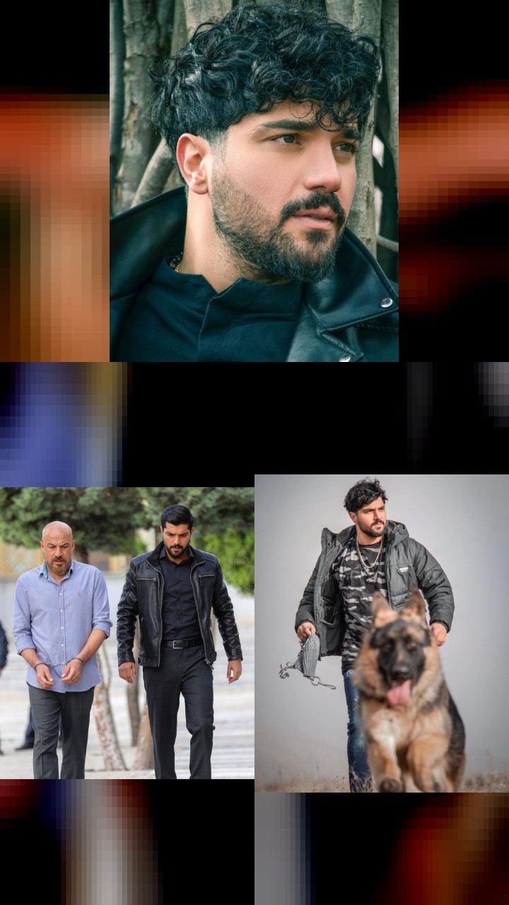 10 Best-Liked Instagram Photos of Sina Mehrad