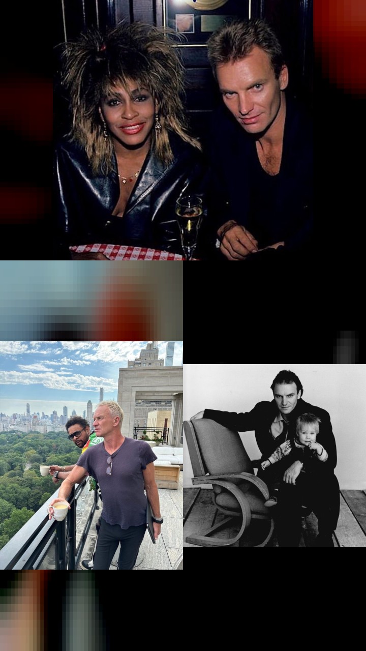The Top 10 Instagram Photos by Sting You Shouldn't Miss