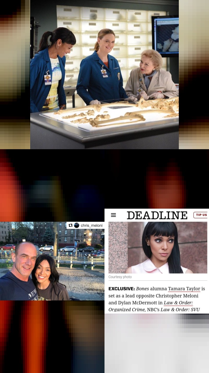 Unveiling Tamara Taylor's Most Liked Instagram Photos: A Top 10 List!