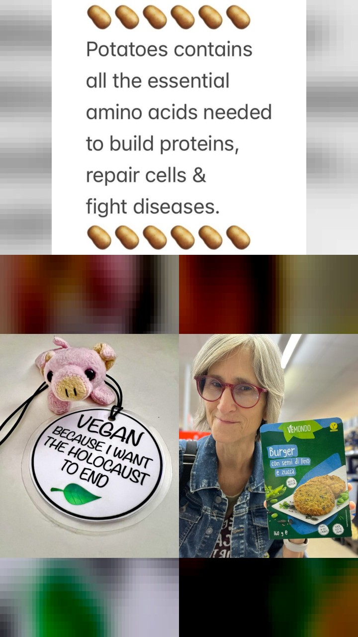 That Vegan Teacher's Instagram Gold: Top 10 Photos