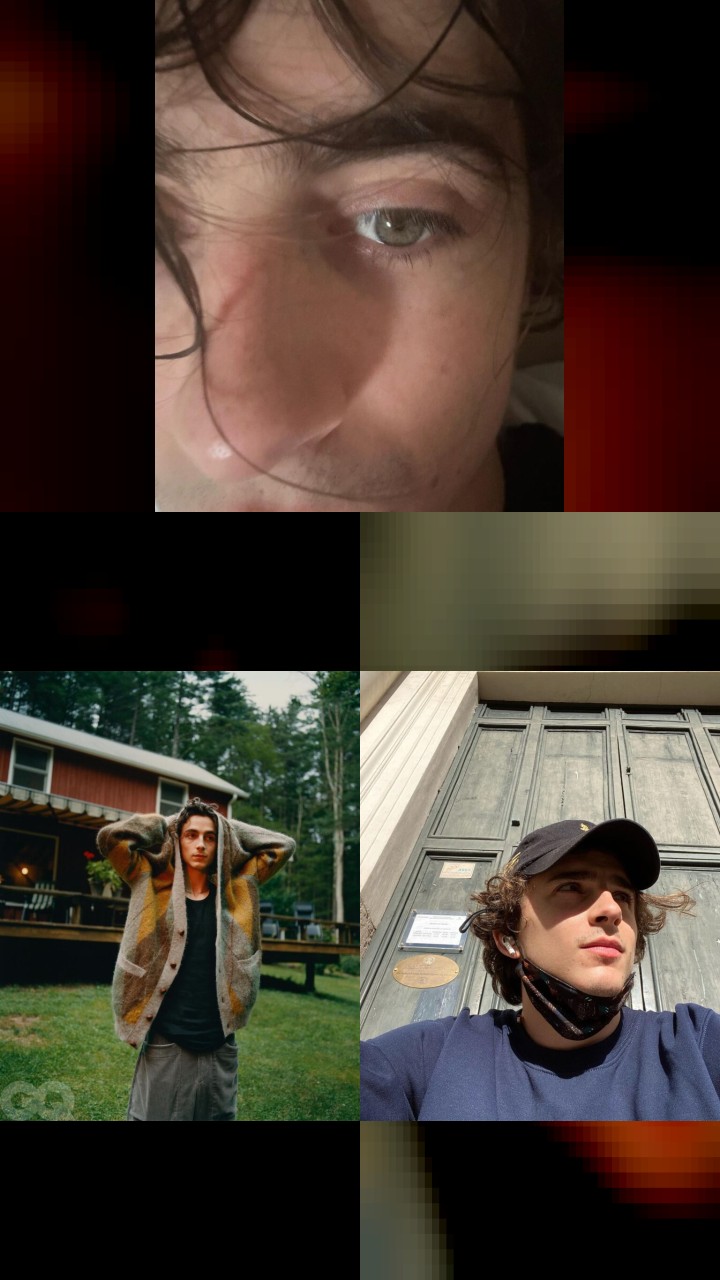 10 Times Timothée Chalamet’s Instagram Photos Made Headlines