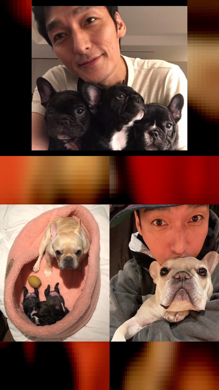 Tsuyoshi Kusanagi’s Instagram: 10 Most Liked Photos