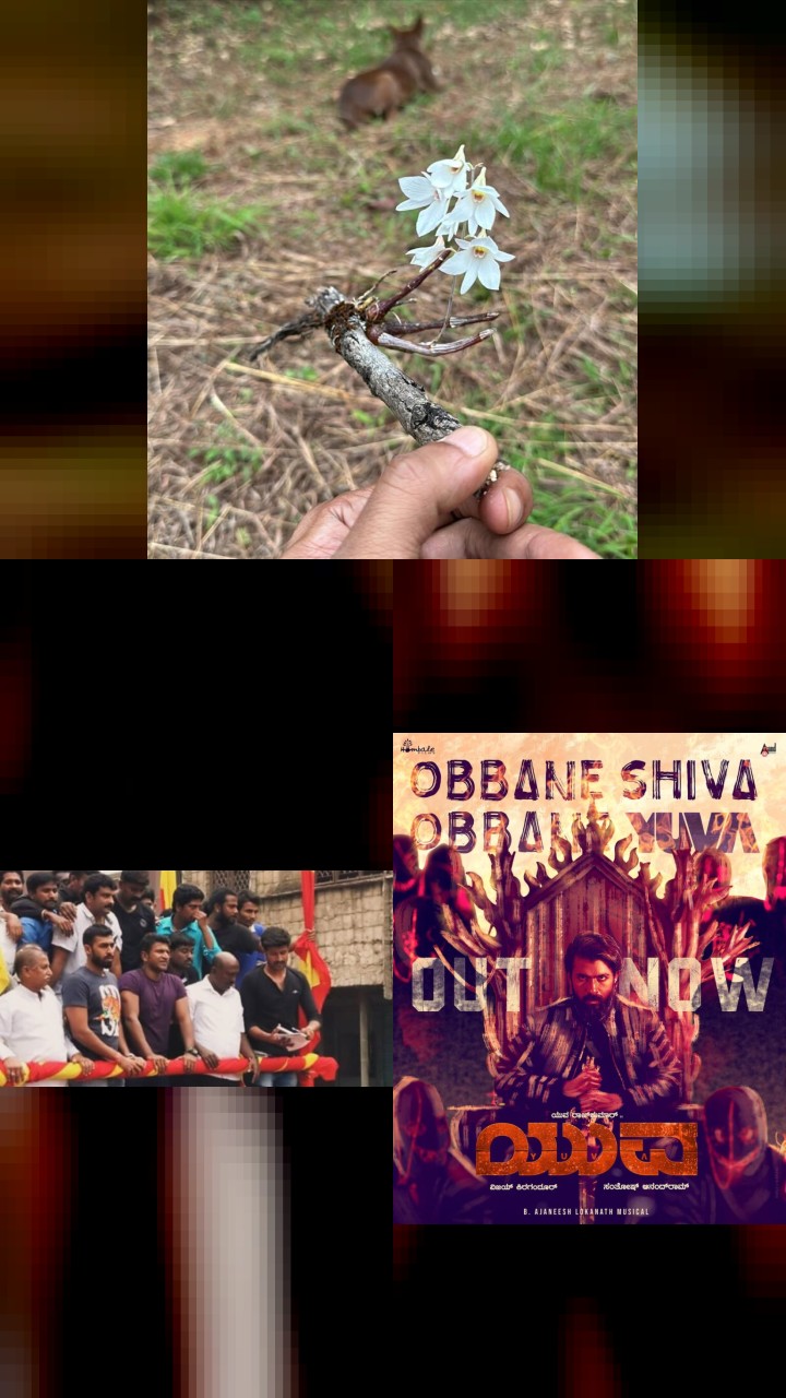 Vinay Rajkumar’s Top 10 Instagram Highlights