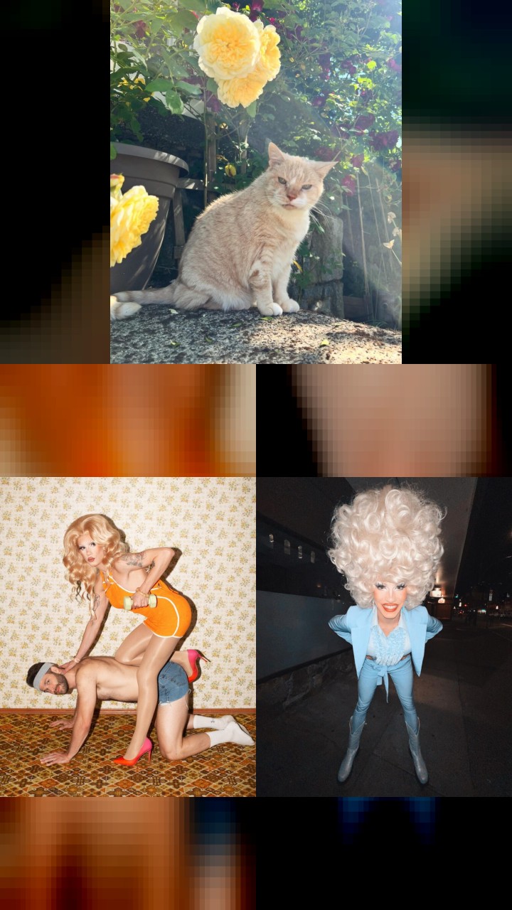Vivian Vanderpuss's Instagram: The Top 10 Photos That Made Waves