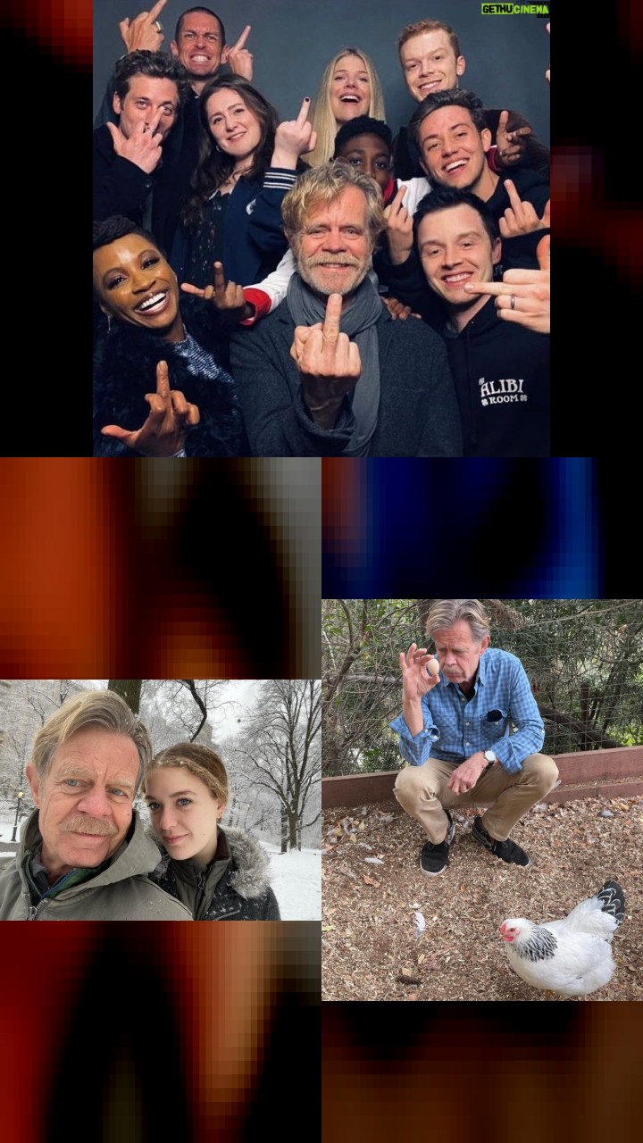 William H. Macy's Instagram Gold: Top 10 Photos