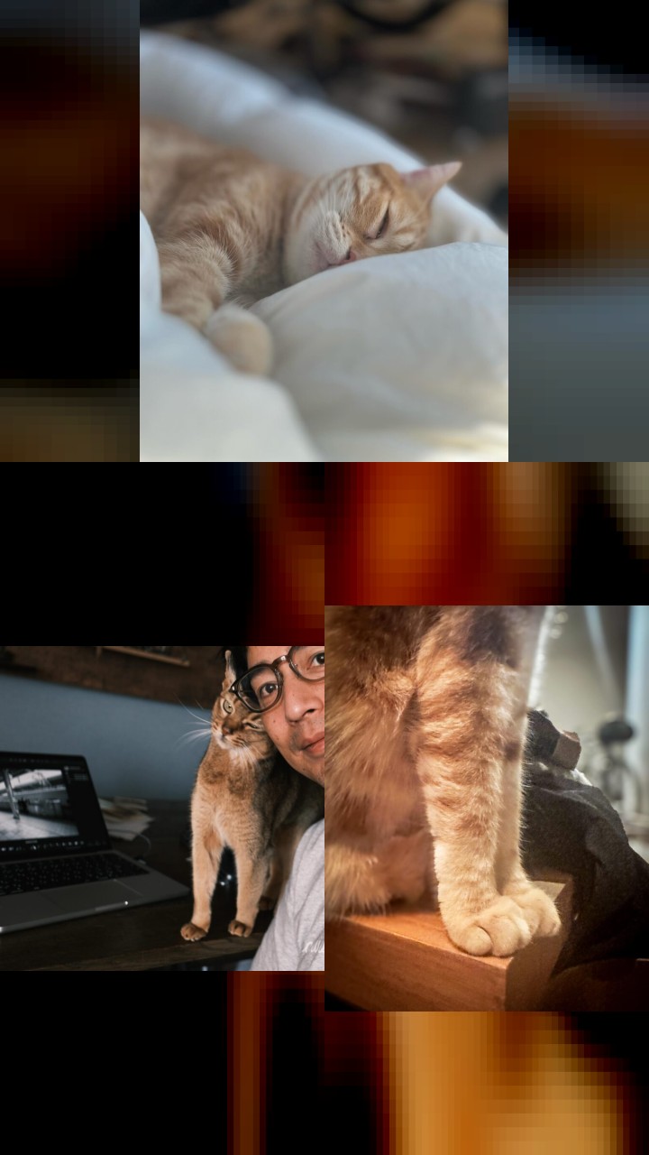 Yoshimi Tokui’s Top 10 Instagram Photos That Captured Hearts