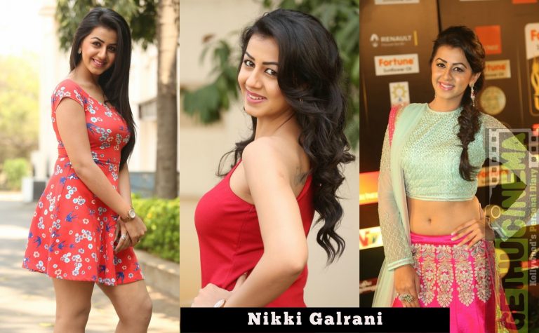 Actress Nikki Galrani 2016 Latest Cute Gallery