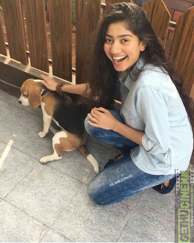 Sai Pallavi unseen hd photos (8)