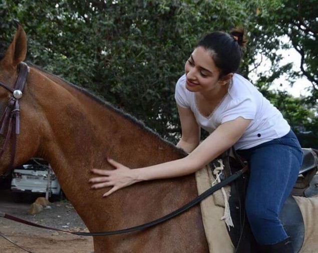 Tamannaah Practising Horse Riding Gallery