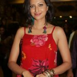 Hamsa Nandini Hot Cute Gorgeous Beautiful Images Pictures Photos HD Photo shoot wallpapers saree gallery