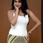 Pooja-Sree_20160415-31