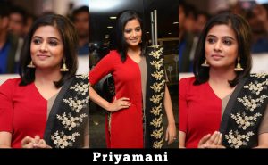 Priyamani At Mana Oori Ramayanam Audio Launch Gallery