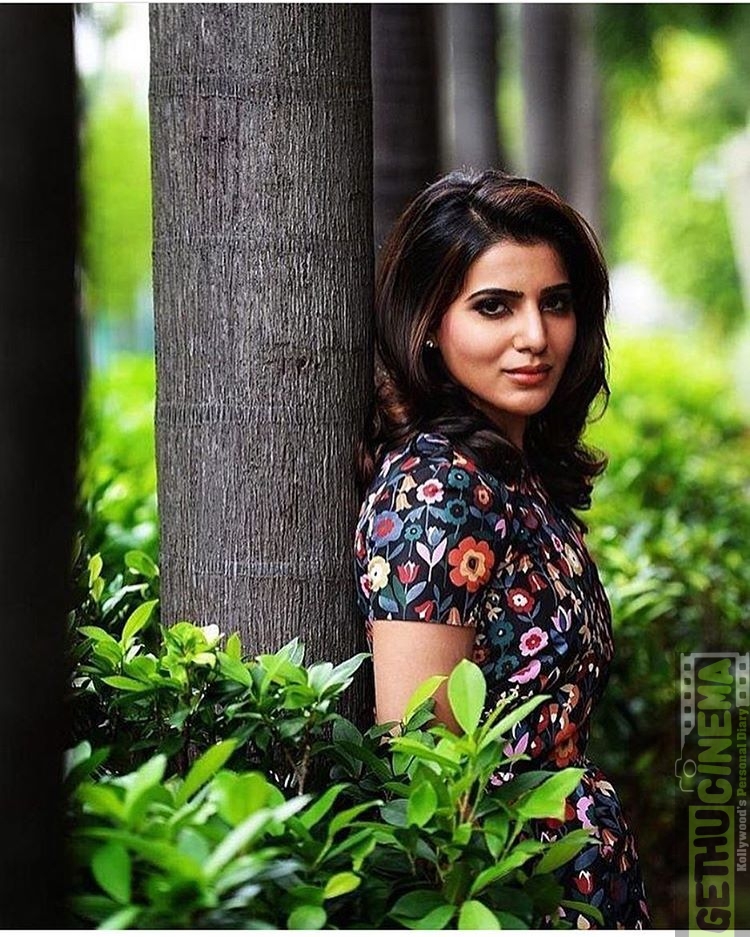 Samantha Saree Photos · Samantha Saree Photos Photos - Actress Album