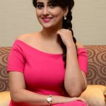 Manjusha At Inkokkadu Success Meet (1)