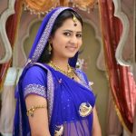 Sargun Mehta in Chaniya Choli- Rajasthani dress-IndianRamp.com