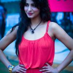 shruti-haasan-ccl-4-cricket-match_139393044750