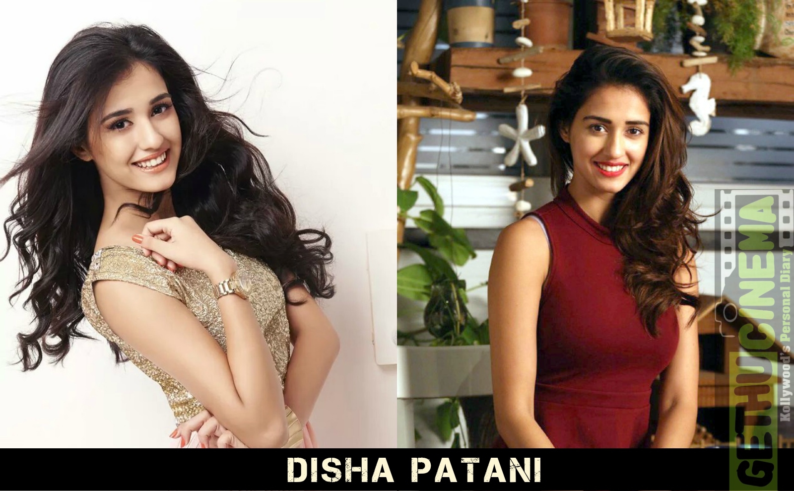 disha patani ms dhoni dress