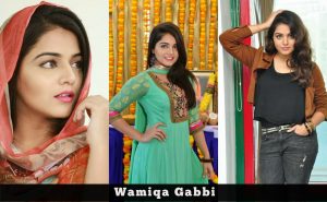 Actress Wamiqa Gabbi Latest Gallery