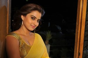 Actress Dimple Chopade Gallery