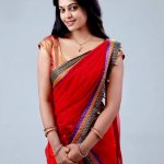 Bindhu madhavi (6)