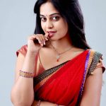 Bindhu madhavi (9)