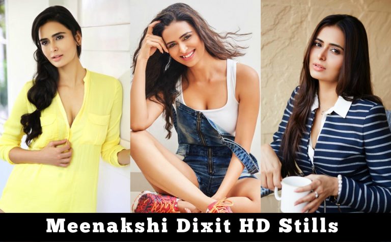 Actress Meenakshi Dixit Latest HD Photo Shoot !