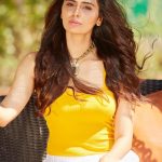 Meenakshi Dixit (13)