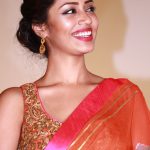 Nivetha Pethuraj (5)