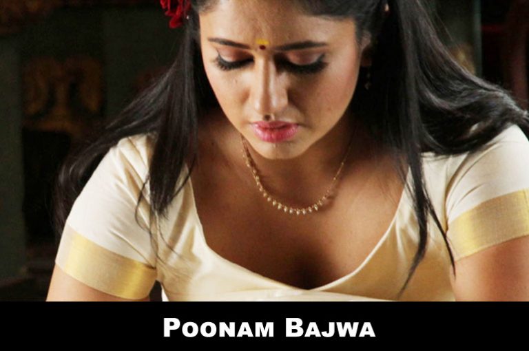 Actress Poonam Bajwa Hot Gallery