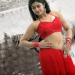 Poonam Bajwa 10a