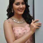 Rashi Khanna  (7)