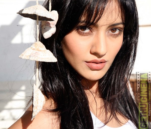 Neha Sharma  Book Contact Price Event Show Booking  LiveClefs