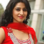 shamili 3