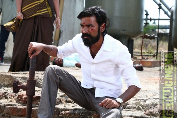 Kodi Kodi