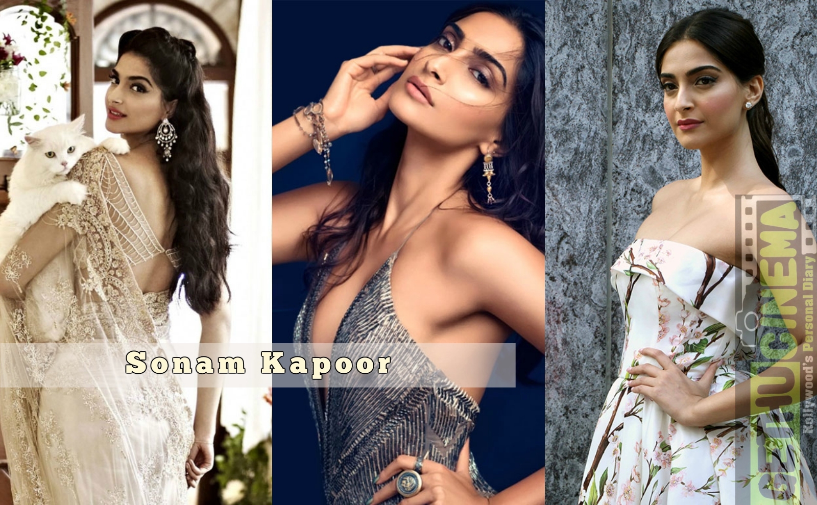 Actress Sonam Kapoor Wiki Biography Age News Gallery Videos More actress sonam kapoor wiki biography