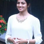 Actress Anandhi HD Gallery (14)