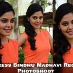 Actress Bindhu Madhavi Recent Photoshoot  (1)