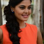 Actress Bindhu Madhavi Recent Photoshoot  (10)