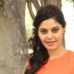 Actress Bindhu Madhavi Recent Photoshoot  (13)