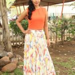 Actress Bindhu Madhavi Recent Photoshoot  (2)