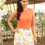 Actress Bindhu Madhavi Recent Photoshoot  (3)