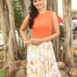 Actress Bindhu Madhavi Recent Photoshoot  (4)