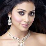 Actress Shreya HD Photoshoot Galley (9)