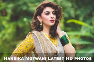 Hansika Motwani Latest HD photos