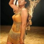 Nayanthara Hot photos (8)