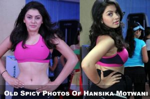 Old Spicy Photos Of Hansika Motwani