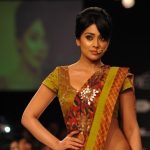 Shriya Saran (1)